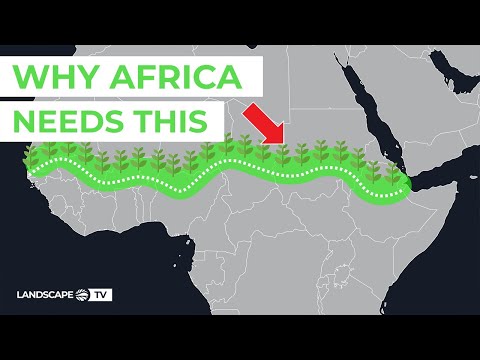 How Africa’s Great Green Wall Will Make the Sahel Green Again