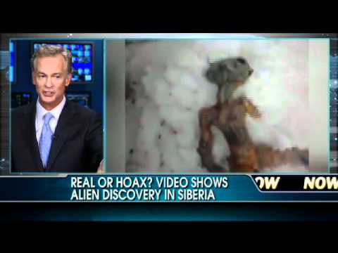 Believe It Or Not: Video Shows Alien Discovered in Siberia?!