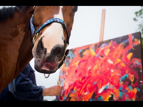 Abstract Painting with Metro the Painting Racehorse