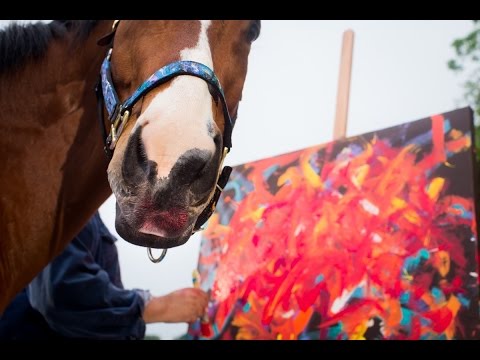 10 Animals Who Became Artists - 57