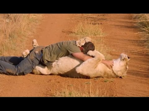 Kevin Richardson in The Story of Cats
