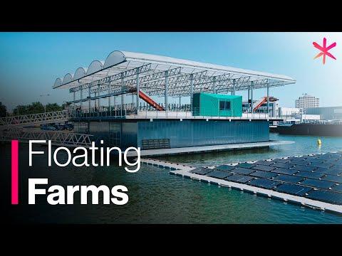 Floating Farm Takes Sustainable Agriculture to the Next Level
