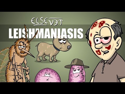 Leishmaniasis - Plain and Simple