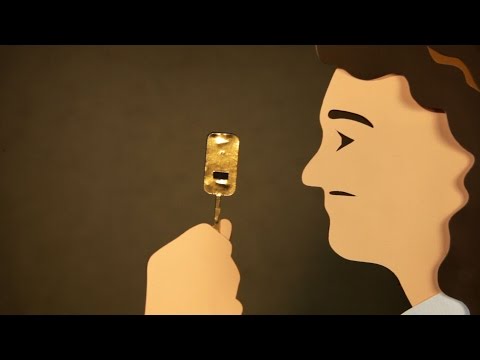 Seeing the Invisible: van Leeuwenhoek&#039;s first glimpses of the microbial world