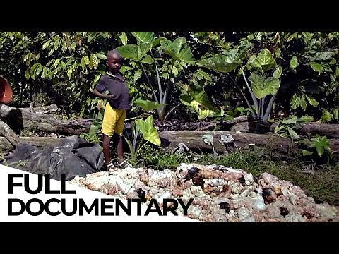 How the Chocolate Industry Still Profits from Child Labor | ENDEVR Documentary