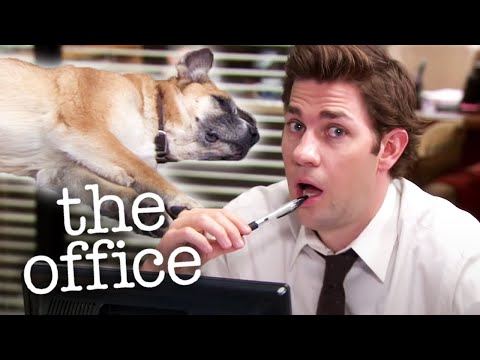 Kevin&#039;s Dog Doesn&#039;t Do Anything - The Office US