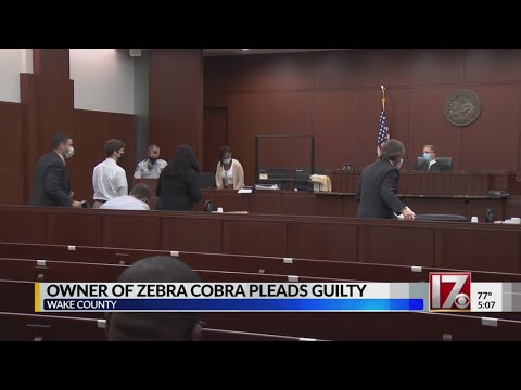 Owner of escaped Raleigh zebra cobra must turn over 75 snakes, pay $13K in restitution