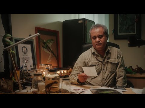 The Lost Bornean Rainbow Toad | Award Winning Short Film | #TRIBESPIRIT