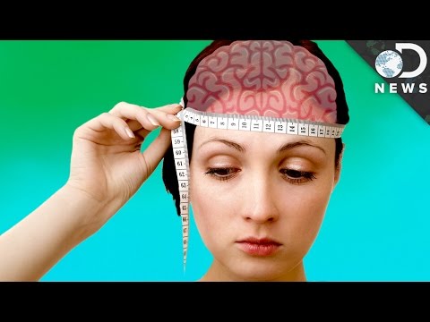 Top 10 Myths About the Human Brain - 31