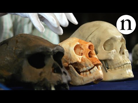 10 Shocking Things Found in a Cave - 48