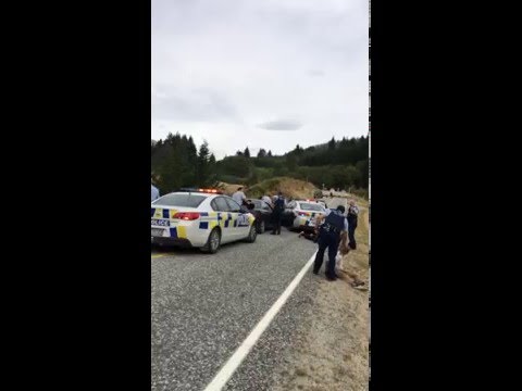 Police chase stopped by sheep