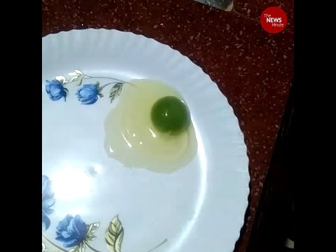‘Green-coloured’ egg yolks in this Kerala man’s farm leave experts puzzled