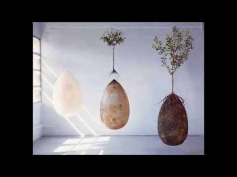 Capsula Mundi - Burial Pods