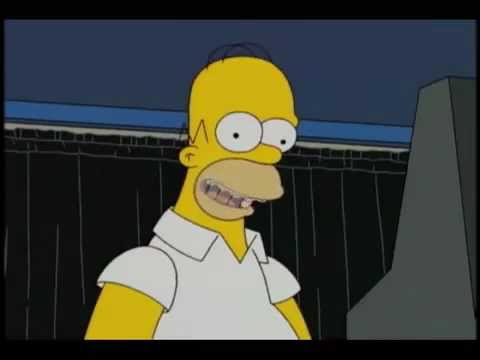 Simpsons - Homer Tries To Vote For Obama