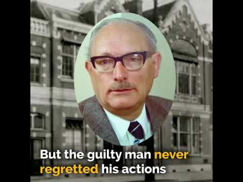 Johan van Hulst, Holocaust hero