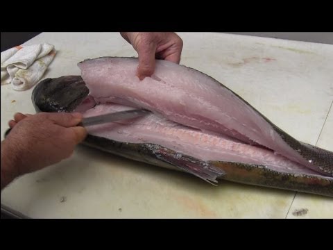 EDIBLE INVASIVE SPECIES: ASIAN CARP