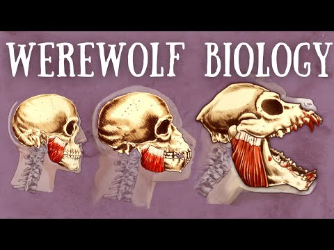Werewolf Biology Explained | The Science of Lycanthropy