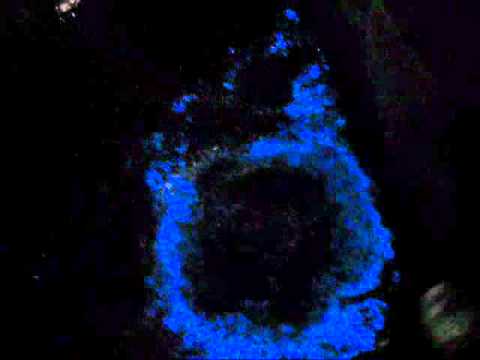 Bioluminescence: Bioluminescent Water with Slow Motion