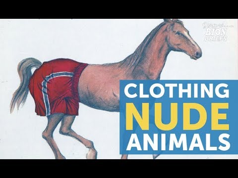 One Man&#039;s Mission to Clothe Nude Animals