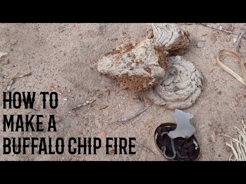 How to Make a Buffalo Chip Fire