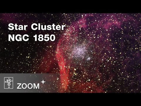 A journey to NGC 1850