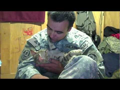 2013 Diamond Collar Hero Winner Staff Sgt. Jesse Knott &amp; Koshka