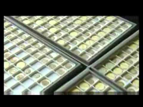 Harrogate Hoard.flv