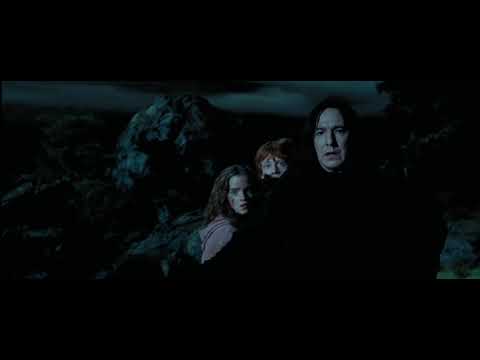 Harry Potter and the Prisoner of Azkaban/Best scene/Daniel Radcliffe/Gary Oldman/David Thewlis