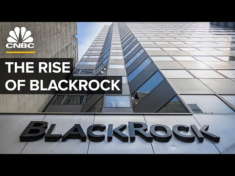 How BlackRock Became The World&#039;s Largest Asset Manager