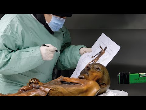Mystery Of Ötzi the Iceman&#039;s Tattoos Finally Solved By Scientists