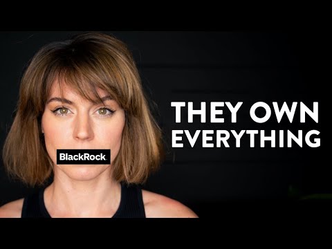 This company owns the world (and it&#039;s our fault) - BlackRock