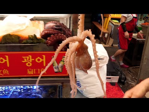 live octopus cooking - sannakji / korean street food