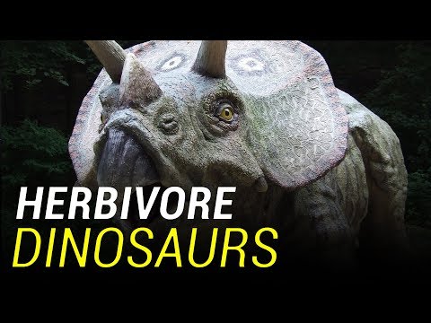 The Herbivores: Plant-Eating Dinosaurs