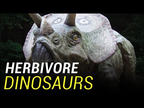 Top 10 Surprising Dinosaur Facts - 21