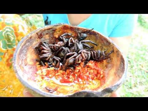 Near my village - woman finding black spider on rock - Cooking eating delicious Of course