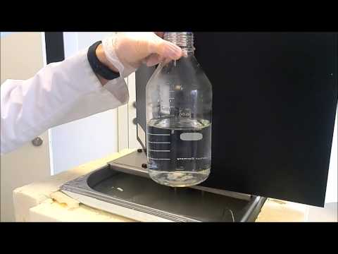 Freezing of supercooled water by Pseudomonas syringae