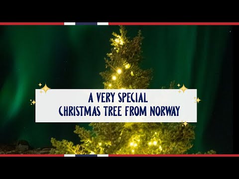 Christmas GIFT from NORWAY TO LONDON | Visit Norway