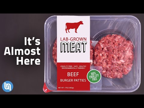 The Future of Meat - Lab Grown Meat Explained