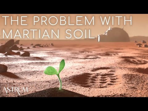 The Real Problem with Growing Plants in Lunar and Martian Soil