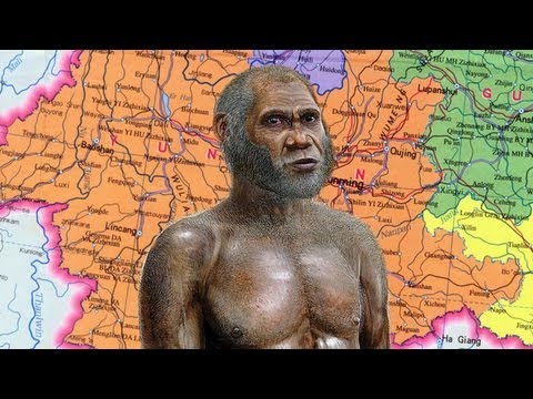 Top 10 Remarkable Early Human Relatives - 61