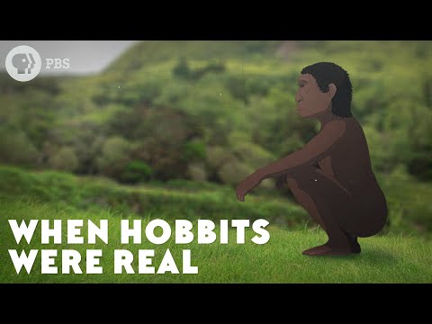 When Hobbits Were Real