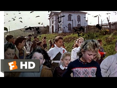 Crows Attack the Students - The Birds (6/11) Movie CLIP (1963) HD