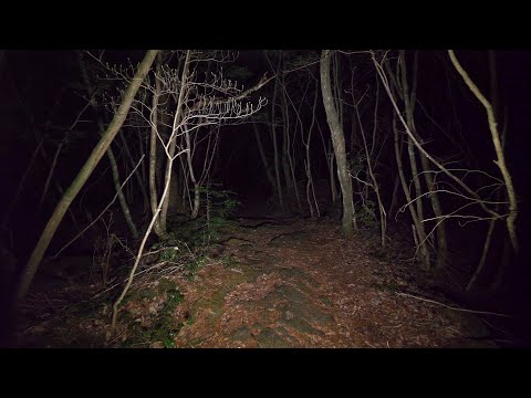 Japan - Walking at night in Aokigahara forest (no pranks, not scary. ASMR?)・4K