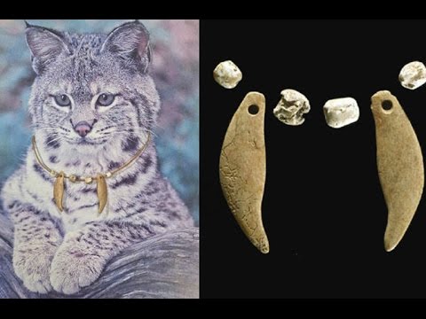 10 Weird Ways Cats Have Been Venerated Through History - 39