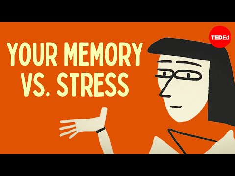 Does stress affect your memory? - Elizabeth Cox