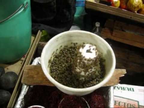 Eating live insects in Mexico, Comiendo insectos vivos en México, Εντομοφαγία στο Μεξικό