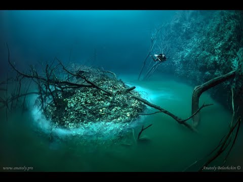 Cenote Angelita: &quot;Underwater River&quot;