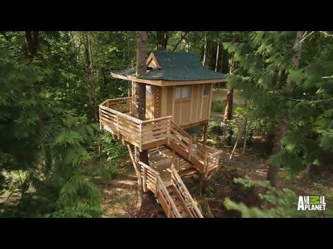 Behind the Build: Towering Treetop Teahouse | Treehouse Masters