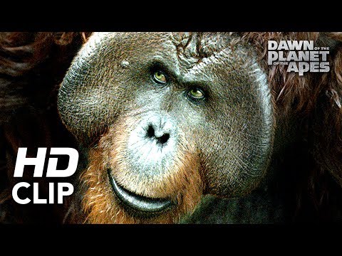 Dawn of the Planet of the Apes | &#039;Hanging Out&#039; | Clip HD