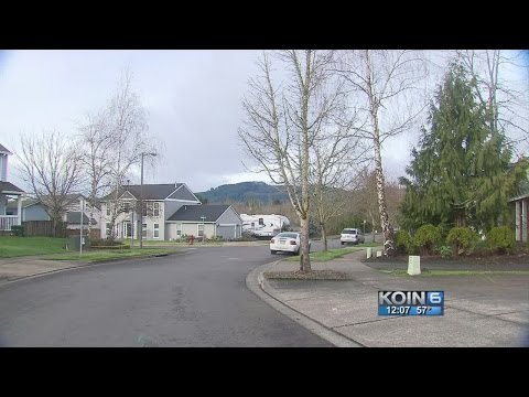 Mysterious Forest Grove noise puzzles neighbors